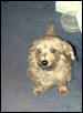 Casey