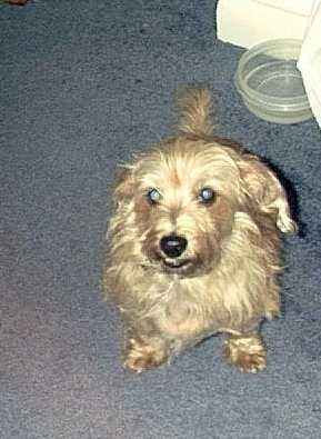 Casey