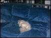 I'm so exhausted!