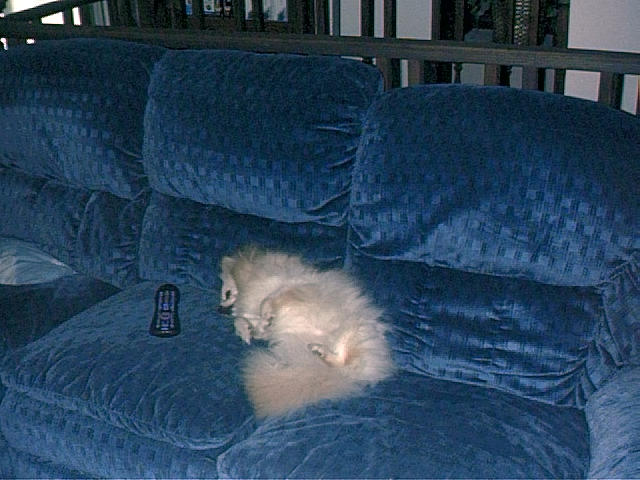 I'm so exhausted!