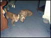 Rambo and Casey