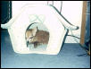Rambo and his bed