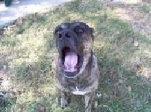 BIG YAWN!!!!!!!