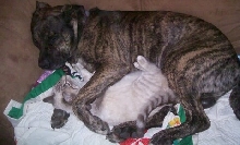 awww they love each other