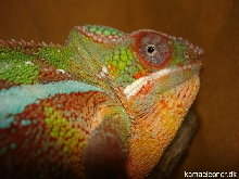 diego suarez