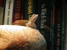 newguy reading