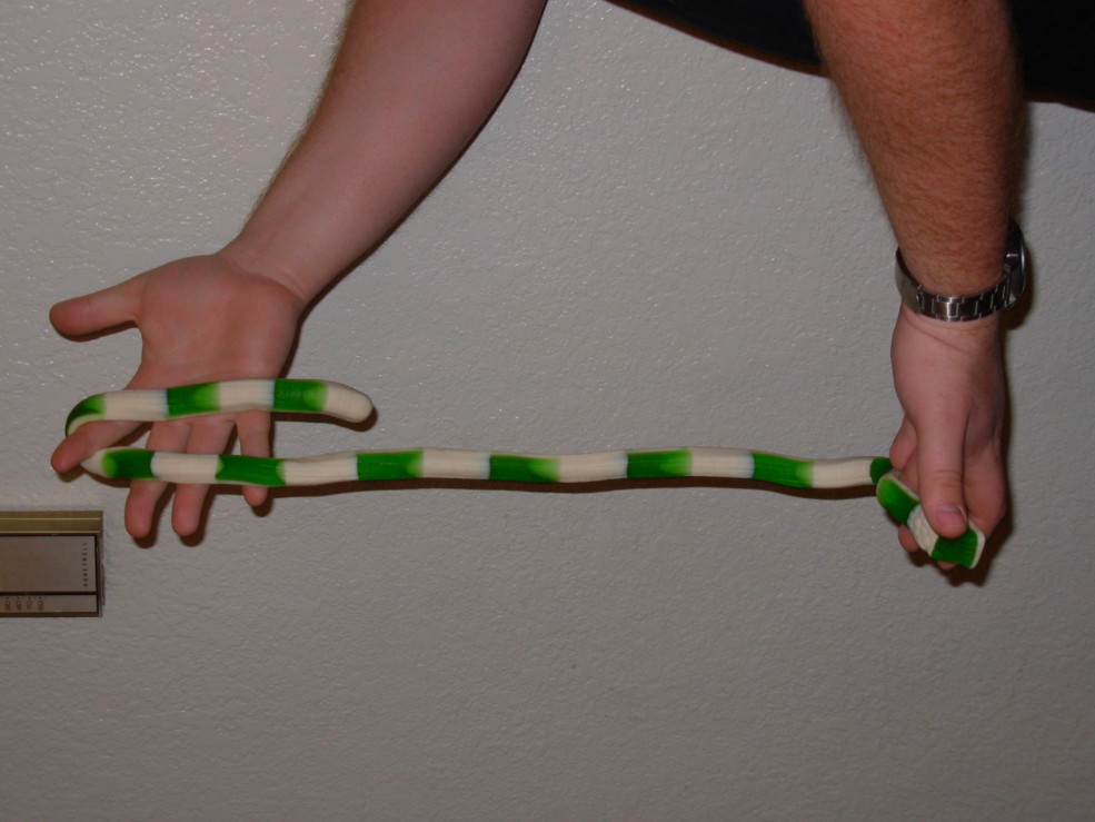 Biggest Gummy Snake Ever
