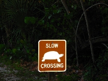 A Sign I Saw In Florida