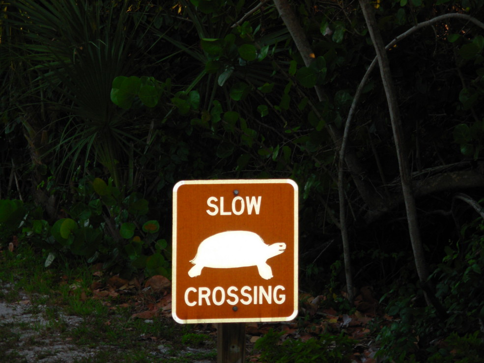 A Sign I Saw In Florida