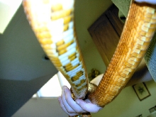 Pogo's underside