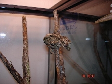 corkbark male