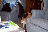 action shot!