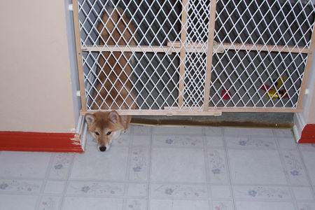 Let Me In!