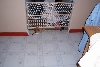 Let Me In Too!