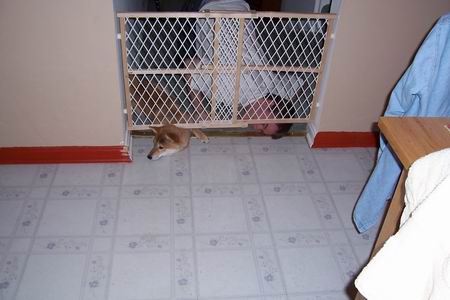 Let Me In Too!