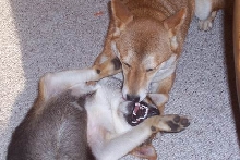 Time to Clean Your Teeth!