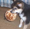 Ball