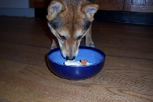 Happy 1st Birthday!