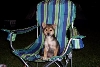 Bear and his camping Chair!