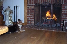 Warming by the Fire