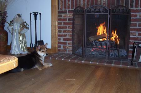 Warming by the Fire