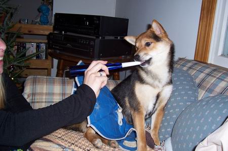 ringing in the new year 06