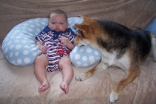 Bear and Jake