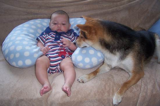 Bear and Jake