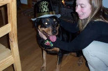 our rotti friend