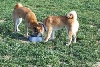 drinking pals
