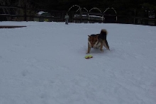 Found a Toy