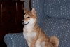 In the favorite chair