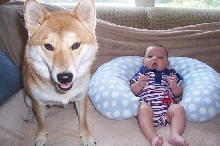 Foxy and Jake