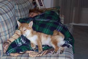 nap2