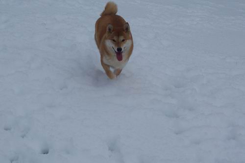 I Love Snow