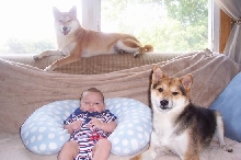 Jake and the Pups