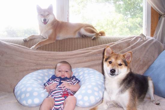 Jake and the Pups