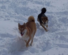 snowpics 2