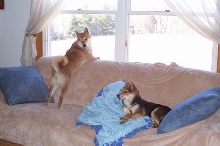 Lounging