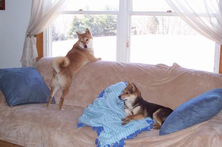 Lounging