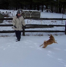 Mom and Fox
