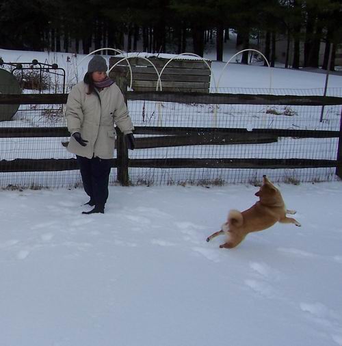 Mom and Fox