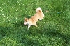 New Yard
