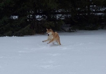 Chasing Snow