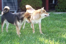Sneeze!