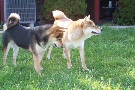 Sneeze!
