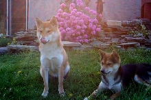 Spring Photo