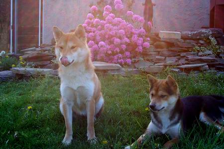 Spring Photo