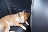 I'm tired!
