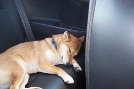 I'm tired!